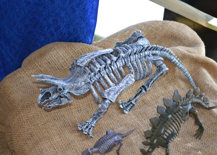 Dinosaur holidays